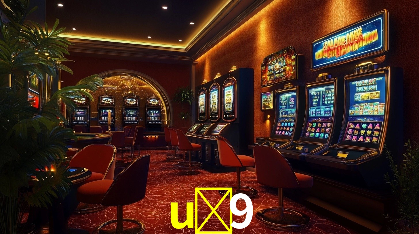 Premium Interface u-9